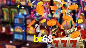 br68 App Interface